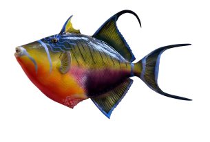 Top New Fishing Game Slots with High Paying Bonus Fish 2026