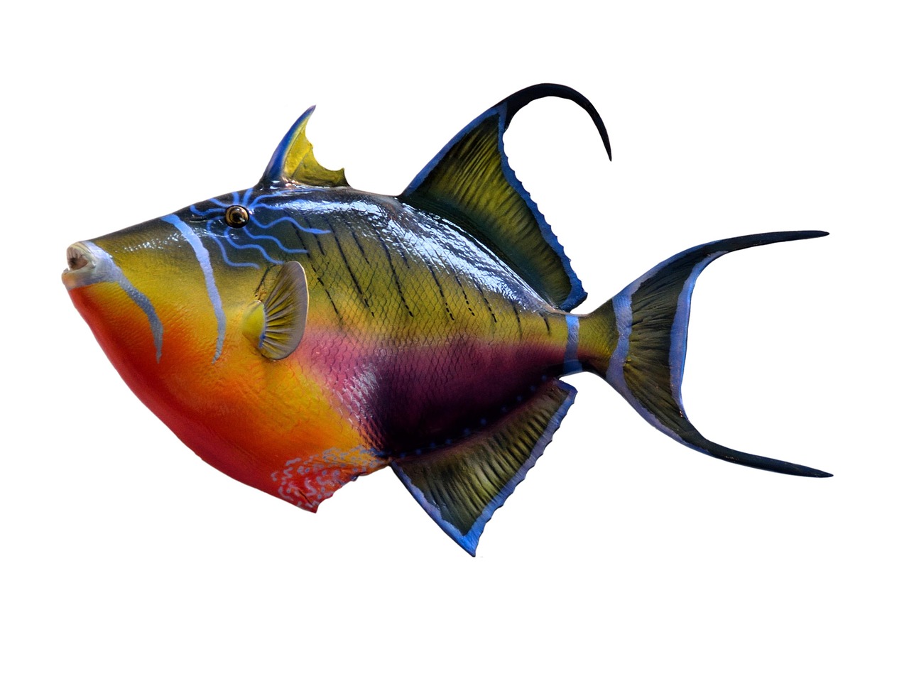 Top New Fishing Game Slots with High Paying Bonus Fish 2026